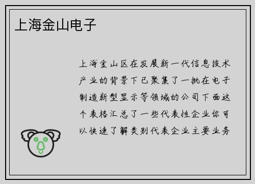 上海金山电子